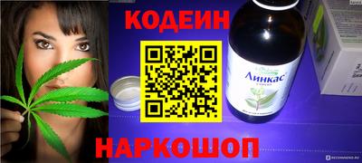 индика Анжеро-Судженск