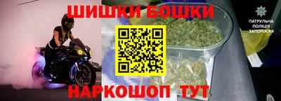 индика Анжеро-Судженск