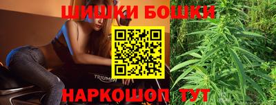 индика Анжеро-Судженск